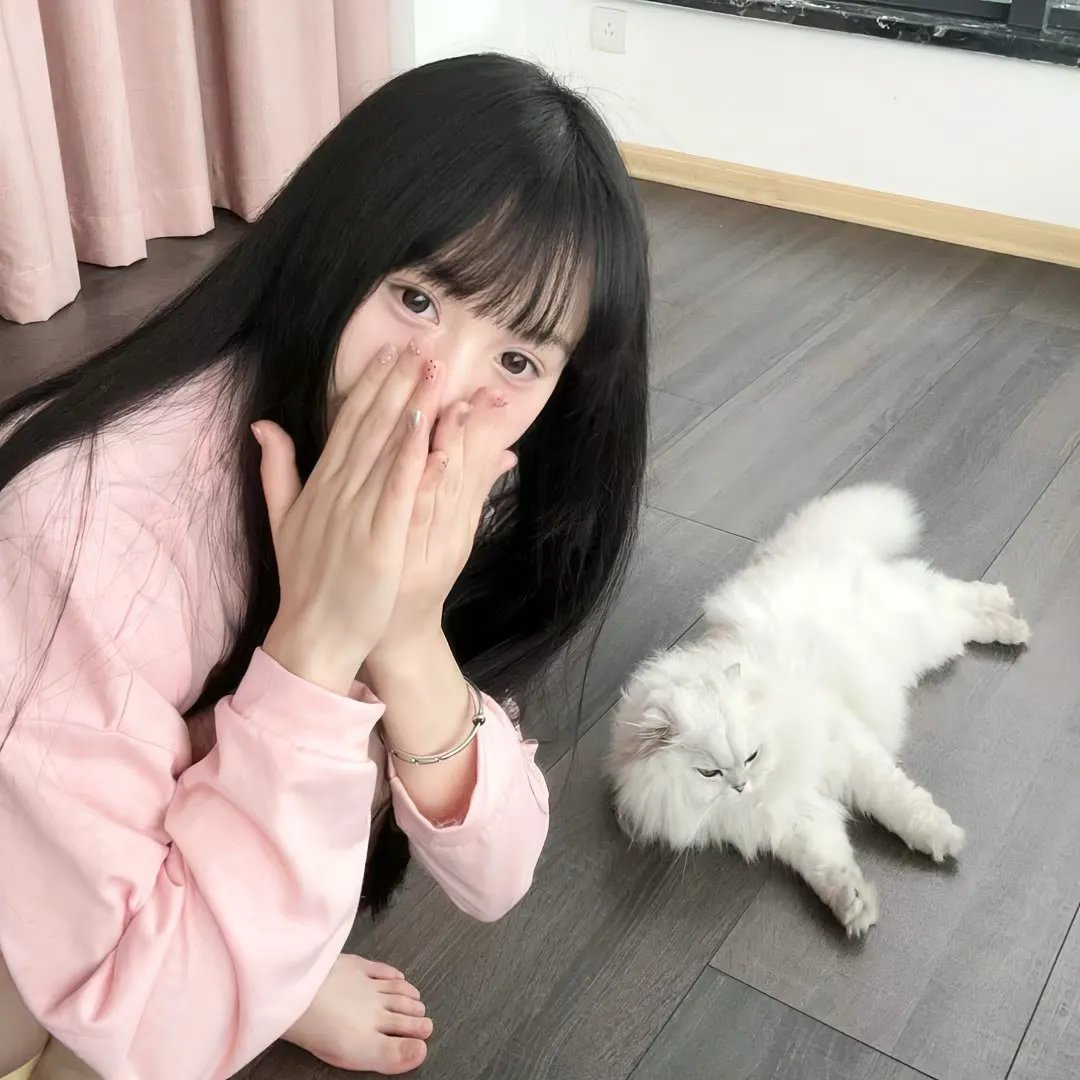 新包青天之血酬蛊